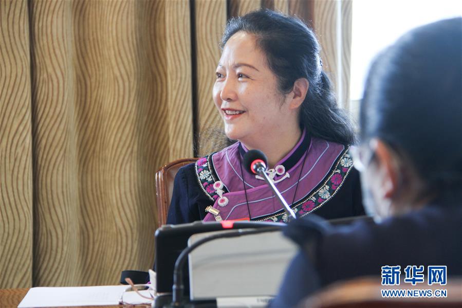 (兩會·圖文互動)(2)特寫:“想不到這么快就收到了答復”——國家發改委“連線”人大代表小記