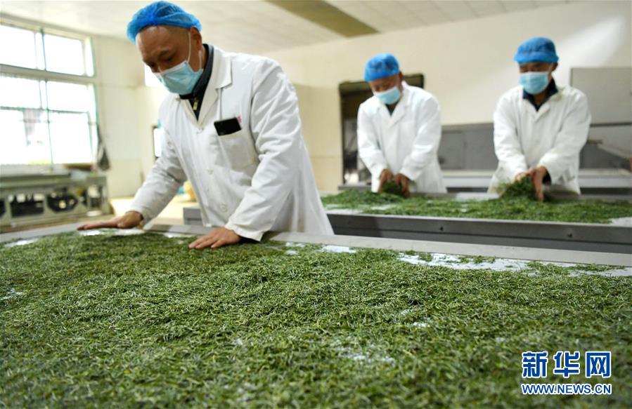 （新華全媒頭條&middot;圖文互動）（22）從人民中汲取磅礴力量&mdash;&mdash;習(xí)近平總書記同出席2020年全國兩會人大代表、政協(xié)委員共商國是紀實