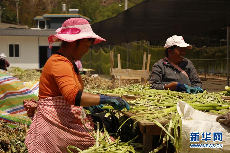 （在習近平新時代中國特色社會主義思想指引下&mdash;&mdash;新時代新作為新篇章&middot;習近平總書記關切事&middot;圖文互動）（4）啃下最后的硬骨頭&mdash;&mdash;脫貧攻堅掛牌督戰(zhàn)進行時