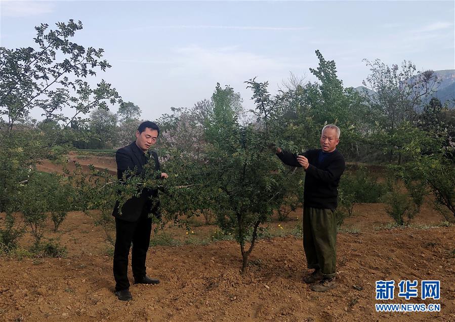 （新華全媒頭條&middot;圖文互動）（6）春天里的5個&ldquo;戰(zhàn)貧&rdquo;瞬間&mdash;&mdash;習(xí)近平總書記關(guān)于脫貧攻堅決策部署指引攻克最后的深貧堡壘