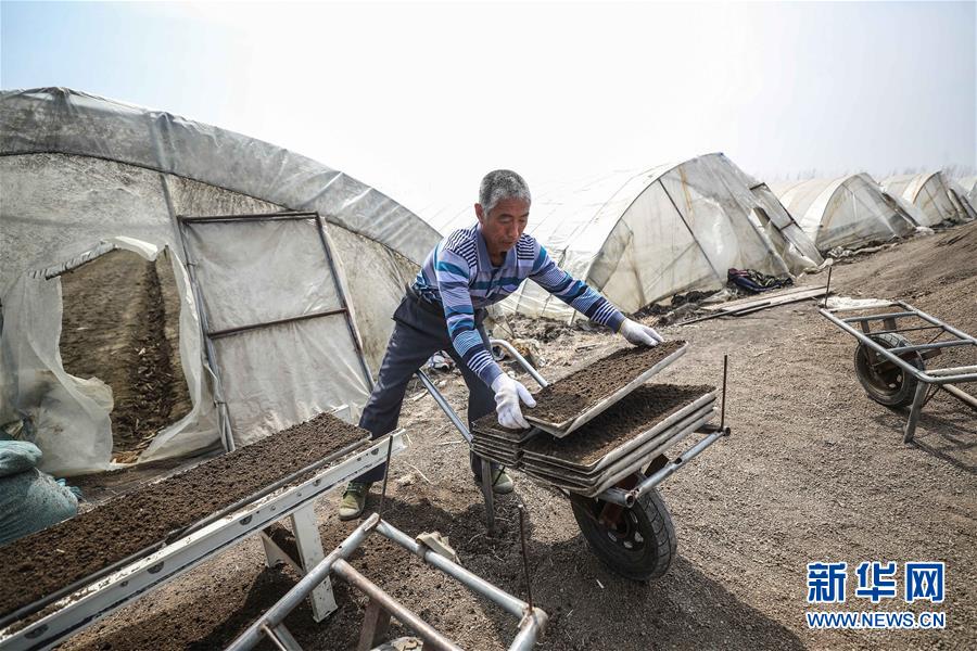 （在習近平新時代中國特色社會主義思想指引下&mdash;&mdash;新時代新作為新篇章&middot;習近平總書記關切事&middot;圖文互動）（5）春耕忙 信心足&mdash;&mdash;谷雨時節(jié)走馬東北直擊糧事