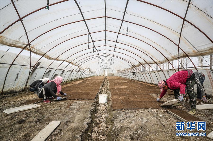 （在習近平新時代中國特色社會主義思想指引下&mdash;&mdash;新時代新作為新篇章&middot;習近平總書記關切事&middot;圖文互動）（6）春耕忙 信心足&mdash;&mdash;谷雨時節(jié)走馬東北直擊糧事