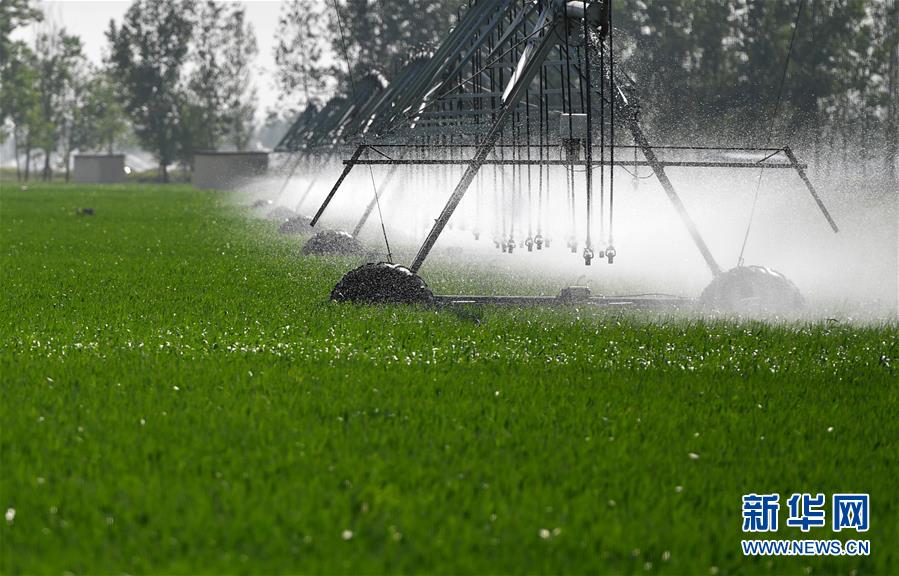 （在習(xí)近平新時(shí)代中國(guó)特色社會(huì)主義思想指引下&mdash;&mdash;新時(shí)代新作為新篇章&middot;習(xí)近平總書(shū)記關(guān)切事&middot;圖文互動(dòng)）（3）新農(nóng)事、新希望&mdash;&mdash;夏收前田間新動(dòng)態(tài)掃描