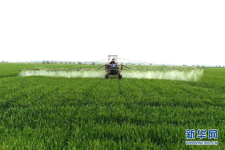 （在習(xí)近平新時(shí)代中國(guó)特色社會(huì)主義思想指引下&mdash;&mdash;新時(shí)代新作為新篇章&middot;習(xí)近平總書(shū)記關(guān)切事&middot;圖文互動(dòng)）（10）新農(nóng)事、新希望&mdash;&mdash;夏收前田間新動(dòng)態(tài)掃描