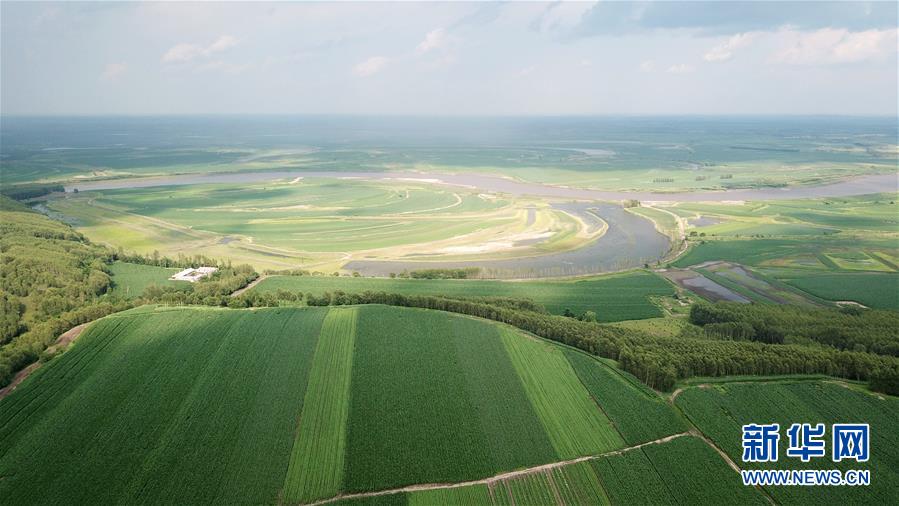 (在習近平新時代中國特色社會主義思想指引下——新時代新作為新篇章·習近平總書記關切事·圖文互動)(2)食為政首——穩住農業基本盤增添發展底氣