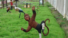 動畫片主角&ldquo;化身&rdquo;稻草人亮相宜興農(nóng)田