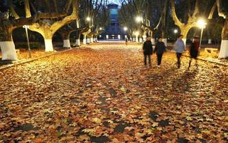 落葉飄飄鋪&ldquo;超級地毯&rdquo;