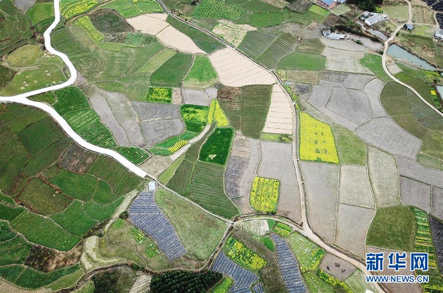 習(xí)近平為何如此看重&ldquo;美麗&rdquo;