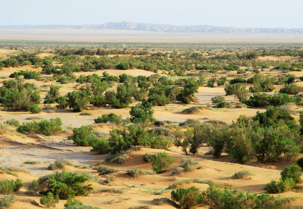【長篇通訊】塞罕壩，京城綠色屏障的前世今生