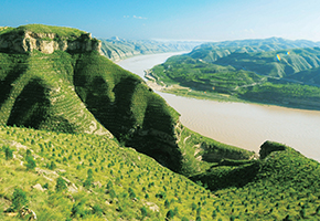 張建龍：&ldquo;三北工程&rdquo;實現生態、經濟、社會效益&ldquo;多贏&rdquo;