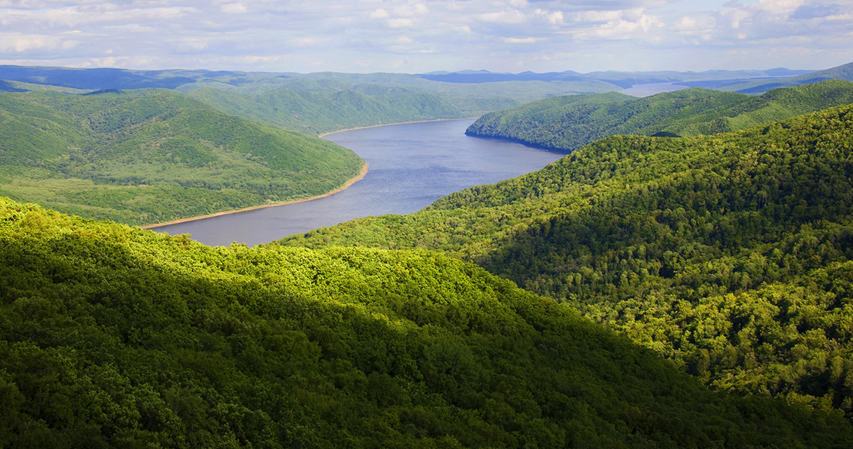 張建龍：&ldquo;三北工程&rdquo;實現生態、經濟、社會效益&ldquo;多贏&rdquo;