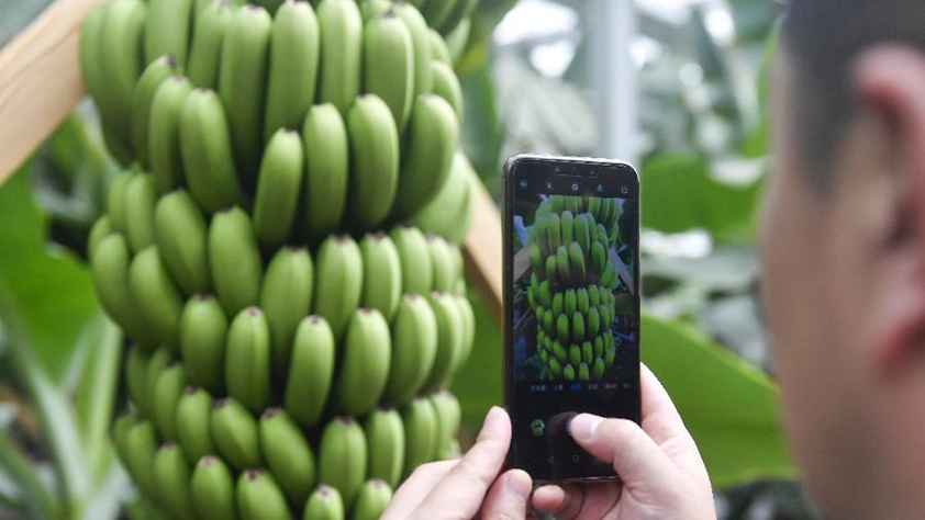 吉林萬昌現(xiàn)代農(nóng)業(yè)發(fā)展先導區(qū)&ldquo;三變&rdquo;