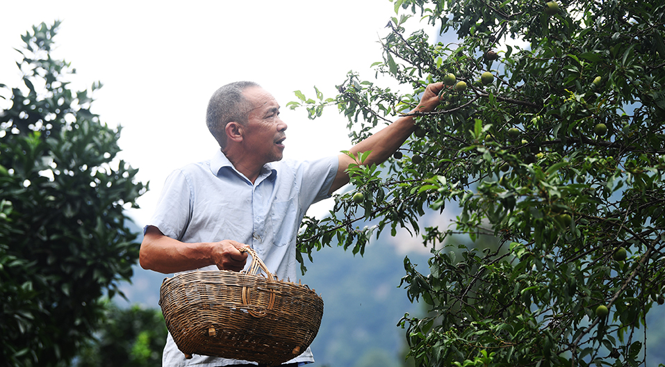 敢向絕壁要&ldquo;天路&rdquo;&mdash;&mdash;記當代&ldquo;愚公&rdquo;毛相林