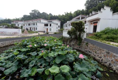 從&ldquo;單一治理&rdquo;到&ldquo;全局治理&rdquo;：贛南老區(qū)展示生態(tài)新畫卷