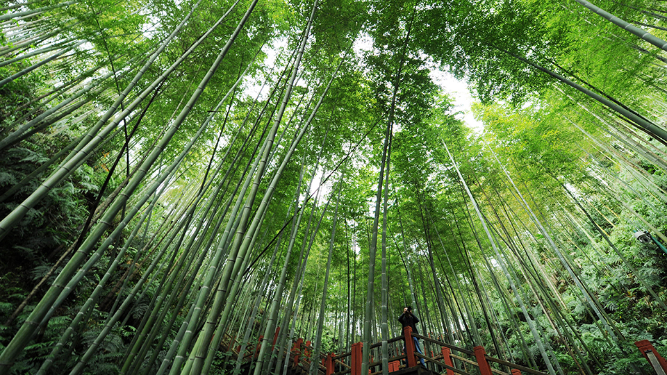 合作共治、責任共擔、效益共享&mdash;&mdash;赤水河流域跨省生態(tài)補償取得積極成效