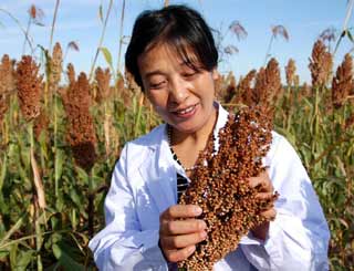 梅園雪：農民心中的&ldquo;女財神&rdquo;