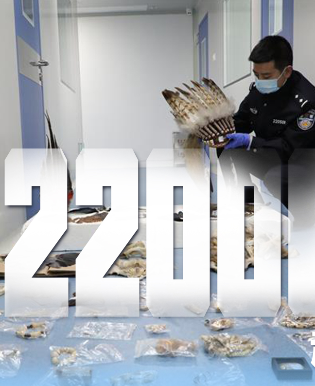 抗疫有&ldquo;法&rdquo;，就是這么給力！