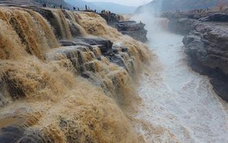 壺口瀑布迎來(lái)&ldquo;桃花汛&rdquo;