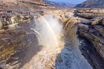 壺口迎來(lái)&ldquo;桃花汛&rdquo; 黃河兩岸架彩虹