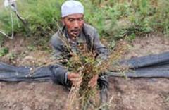 野生動物與民&ldquo;爭&rdquo;利