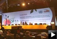 聯合國防治荒漠化會議在溫得和克開幕