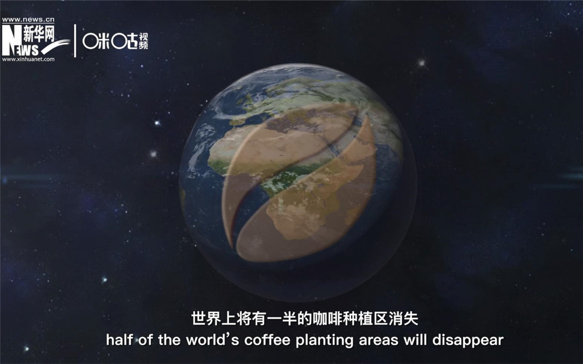 科學家預測到三十年后，世界上將有一半的咖啡種植區消失