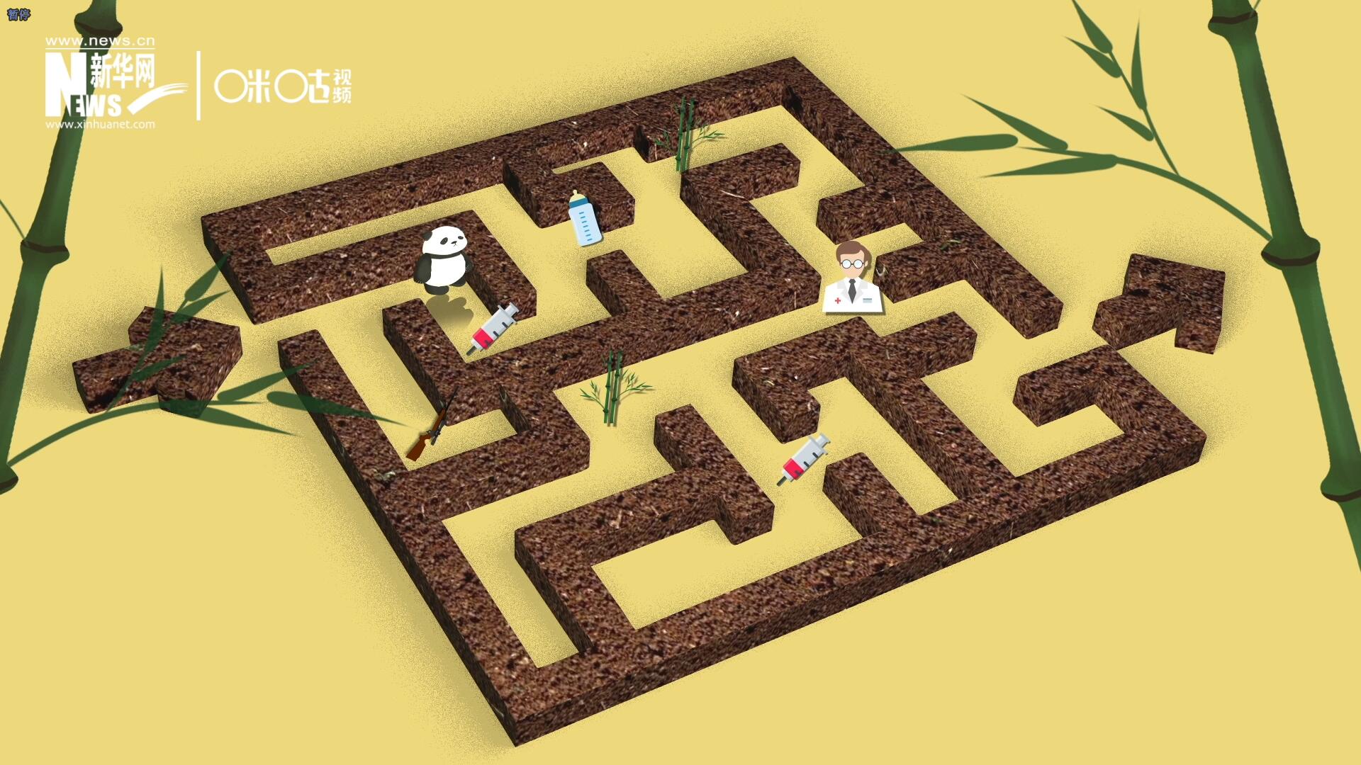 2016年，國際自然保護聯盟將大熊貓的物種瀕危等級，從&ldquo;瀕危&rdquo;下降到了&ldquo;易危&rdquo;。