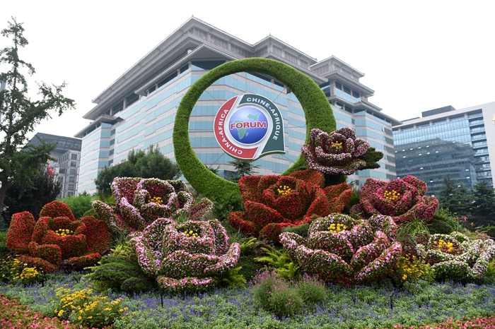 新華社評(píng)論員：與非洲共命運(yùn) 為人類(lèi)勇?lián)?dāng)