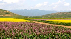 臺灣女企業家耕耘十年終圓&ldquo;香草夢&rdquo;