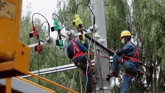 黑龍江李氏三兄弟案：沒(méi)&ldquo;好處&rdquo;就不供電 公開(kāi)招標(biāo)變個(gè)人指定