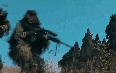 突入，擊斃！直擊武警特戰反劫持演練！