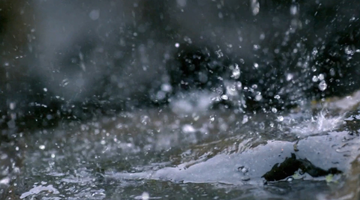 城市內澇暴雨避險指南來了！