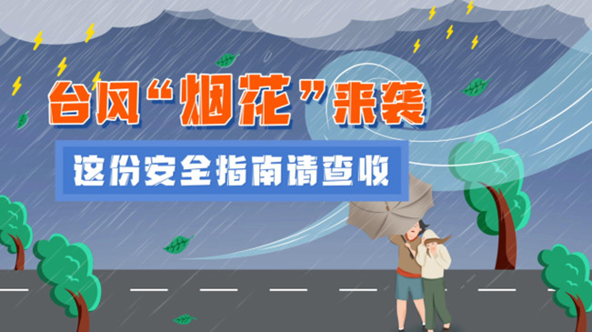 MG動畫：臺風(fēng)&ldquo;煙花&rdquo;來襲，這份安全指南請查收