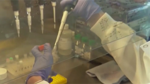 美國(guó)：專(zhuān)家&mdash;&mdash;南非和巴西發(fā)現(xiàn)的變異株很難確診