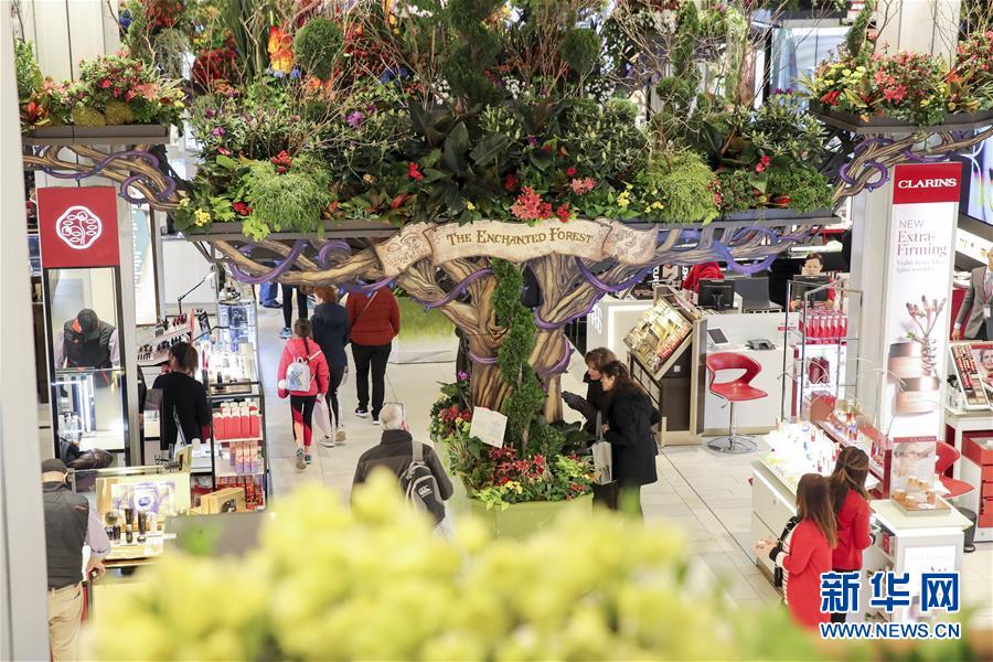 （國際）（1）紐約：&ldquo;春日童話&rdquo;花展亮相梅西百貨