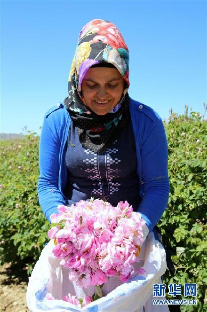 （國(guó)際&middot;圖文互動(dòng)）通訊：土耳其&ldquo;玫瑰經(jīng)濟(jì)&rdquo;看好中國(guó)市場(chǎng)