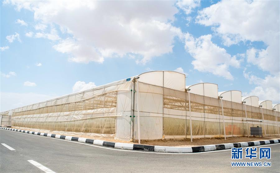 （國際&middot;&ldquo;一帶一路&rdquo;高峰論壇&middot;圖文互動）（1）荒漠正在成為瓜果飄香的綠洲&mdash;&mdash;記中國國機重工埃及現代農業溫室項目