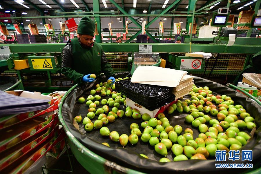 （國際&middot;年終報道）（11）&ldquo;回味&rdquo;2019