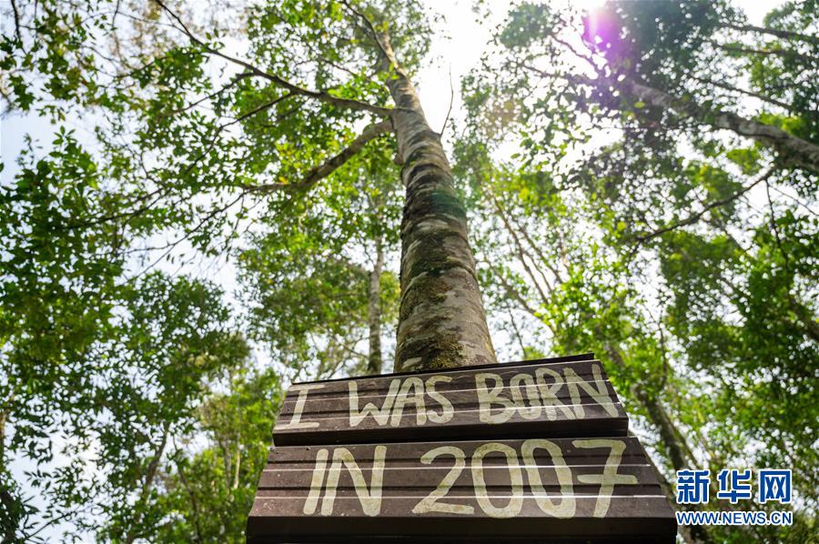 （第三屆進博會&middot;圖文互動）（4）專訪：進博會提供了一個共享中國發(fā)展機遇的平臺