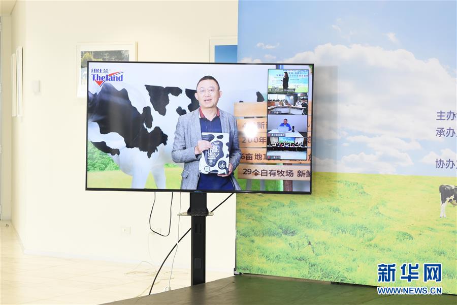 (國際·圖文互動)(2)中國-新西蘭乳制品商貿洽談會簽約金額超12億元