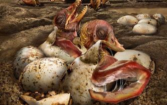 中國發現史前翼龍&ldquo;伊甸園&rdquo;