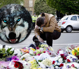 血案頻發 "獨狼"緣何兇猛？